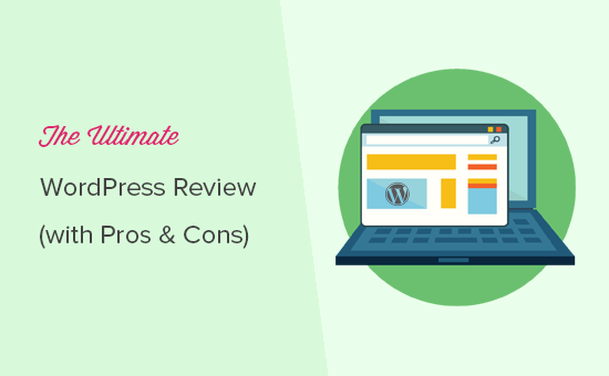WordPress Pros and Cons of business in detail
