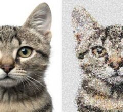 Emoji Mosaic, A Tool To Transform Images Into Emojis!