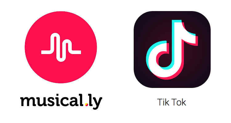 Download Tik Tok (Musical.ly) video on iPhone, Android or PC