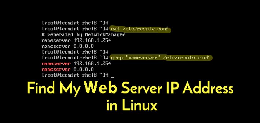 How to Find the IP Address of the Website Server
