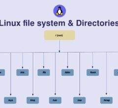 Folders and Functions in the Linux File System