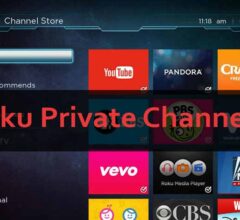 The Best Private And Hidden Roku Channels