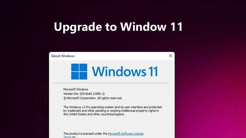 How To Force Upgrade to Windows 11
