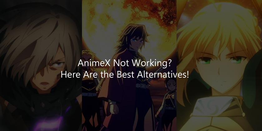 AnimeX Not Working? Here Are the Best Alternatives!