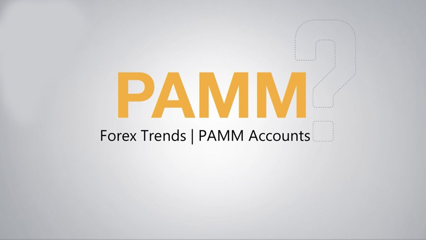 Forex Trends | PAMM Accounts