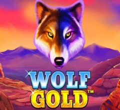Wolf gold slot and its characteristics