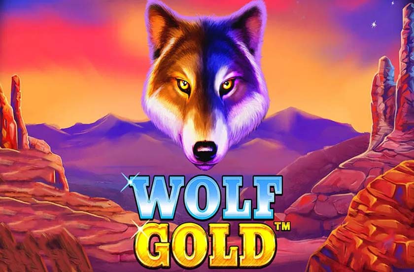 Wolf gold slot and its characteristics