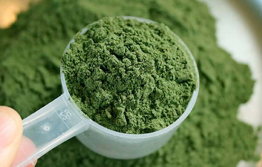 How to Choose A Place To Get Kratom Wholesale