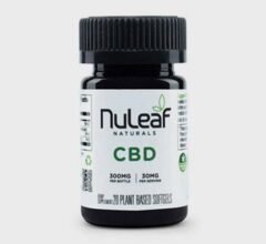 Can a Parkinson's Patient Use CBD for Results?