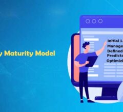 The Capability Maturity Model - From a Data Perspective