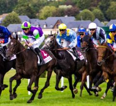 A Guide to Betting on Horse Racing Online