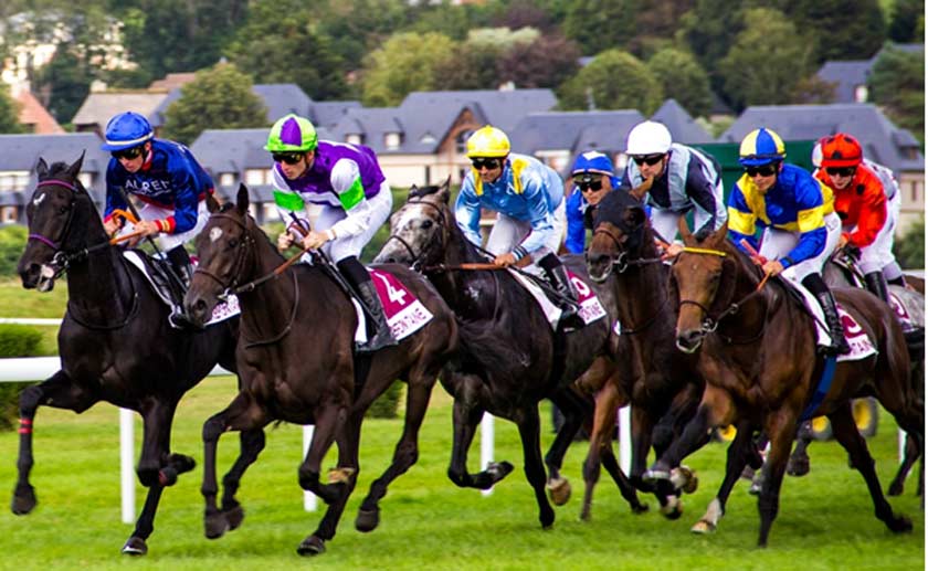 A Guide to Betting on Horse Racing Online
