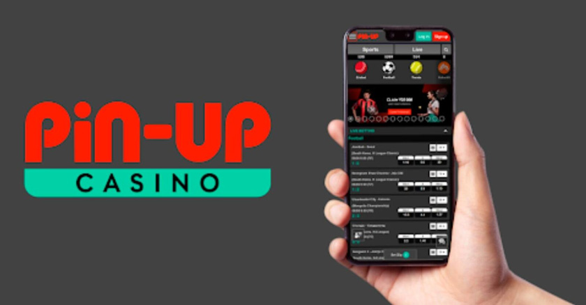 What Do You Need to Know About Pin Up Casino?