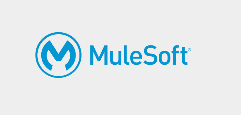 Why MuleSoft is the build Integration Tool of Choice for Developers