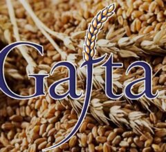 Navigating the Gafta Arbitration Rules