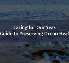 Caring for Our Seas: A Guide to Preserving Ocean Health