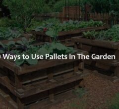 10 Ways to Use Pallets In The Garden