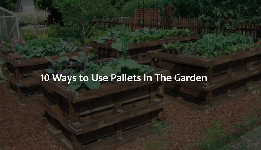 10 Ways to Use Pallets In The Garden