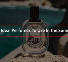 Best Ideal Perfumes To Use In the Summer