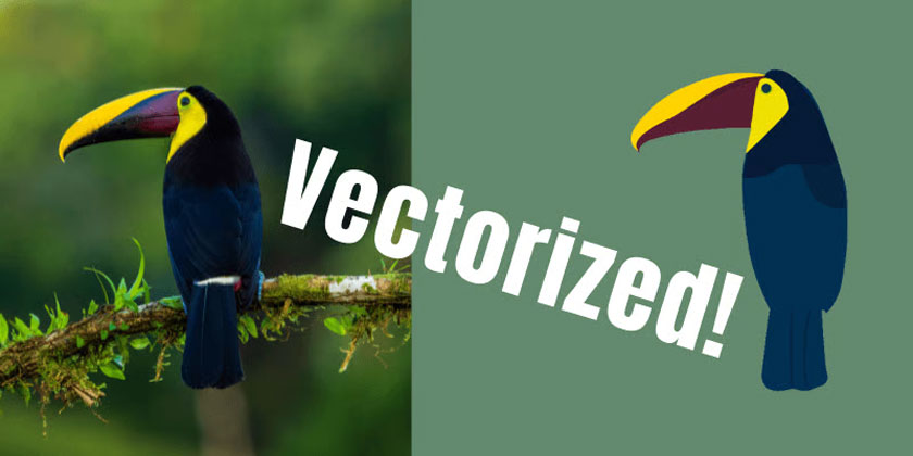 How to Vectorize an Image