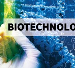 Biotechnology Breakthroughs: Merging Technology and Life Sciences
