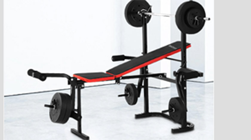 Revolutionise Your Workouts: The Power of the Gym Bench with Leg Developer
