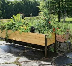 From Ground to Greatness: Mastering Garden Growth with Elevated Planters