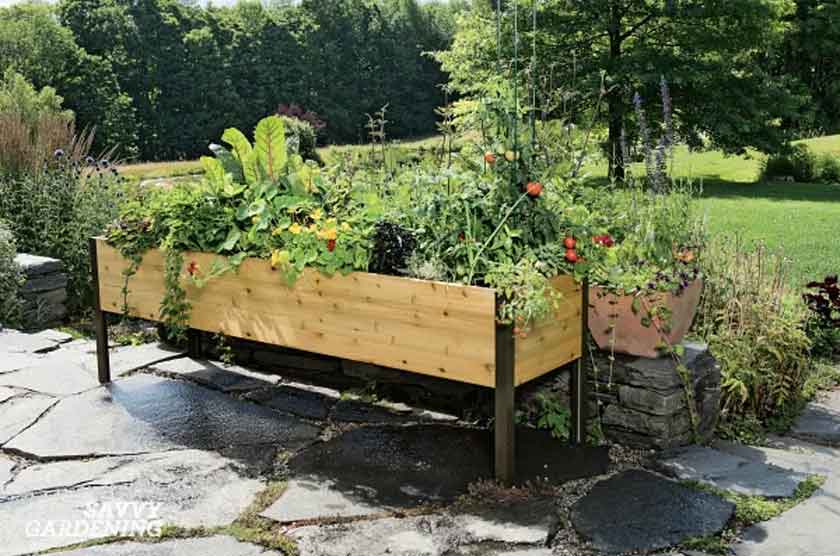 From Ground to Greatness: Mastering Garden Growth with Elevated Planters