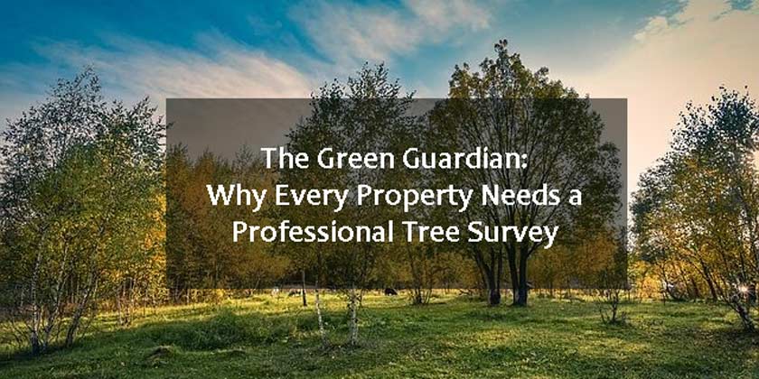 The Green Guardian: Why Every Property Needs a Professional Tree Survey