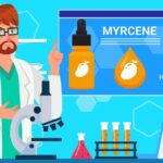 Myrcene Terpenes Unique Effects