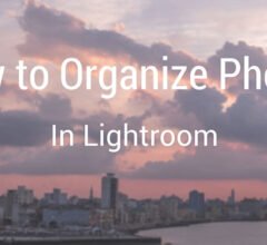 Tips for Organizing Photos with Collections in Lightroom