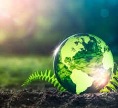 Exploring the Future of Environmental Development and Sustainability