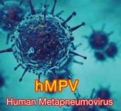 HMPV Virus in India: Symptoms, Spread, and What It Means for Public Health