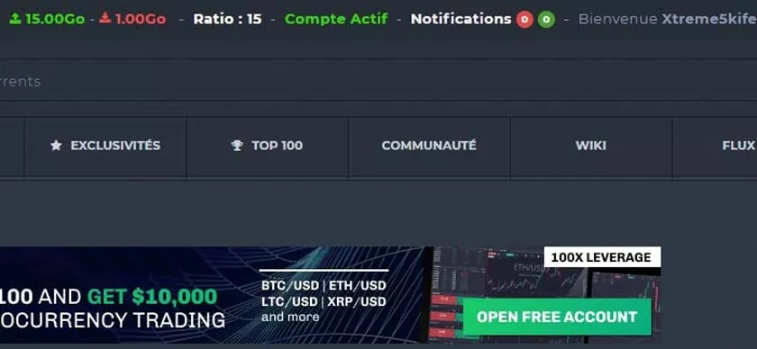 Cómo descargar en YGGTorrent - YGG Ratio Management