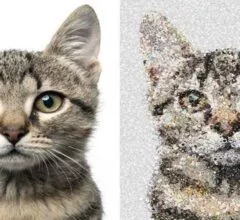 Emoji Mosaic, A Tool To Transform Images Into Emojis!