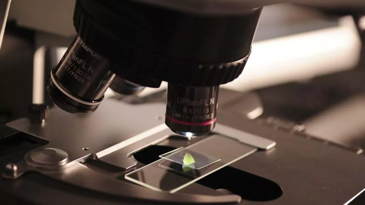 The most important Characteristics of the Microscope