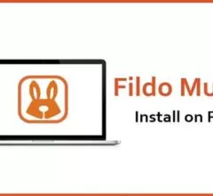 How To Download Fildo For PC