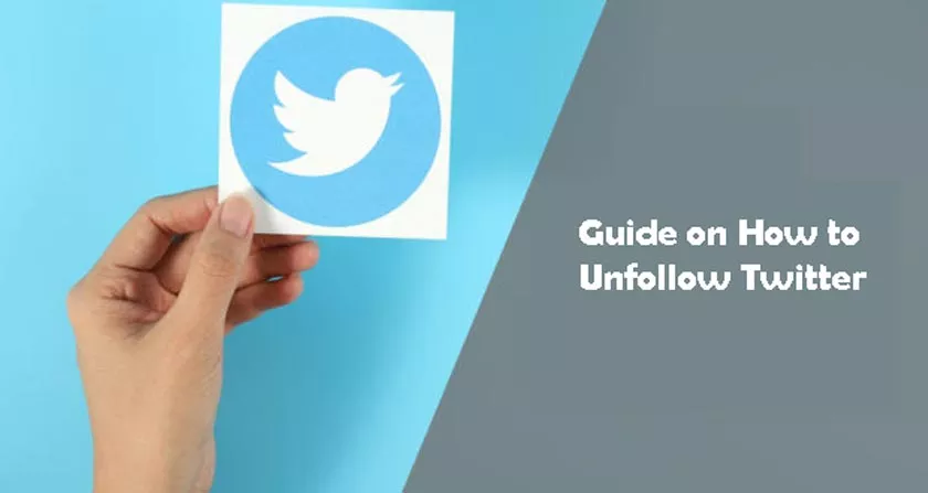 Guide on How to Unfollow Twitter