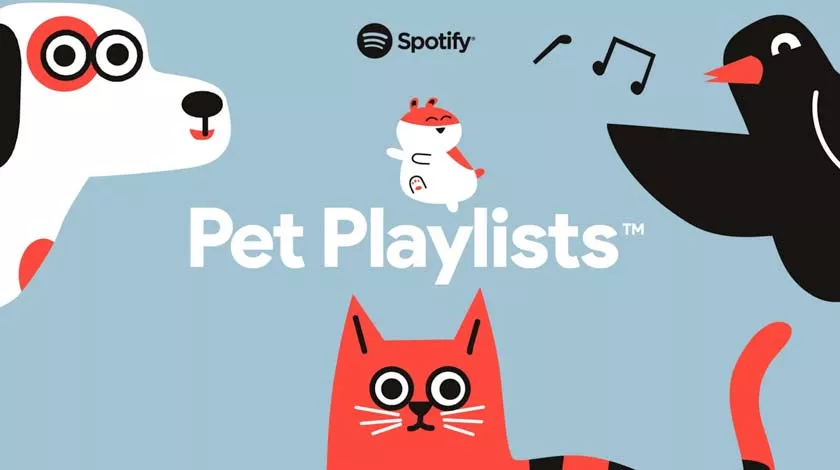 Most listened Songs by Yourself on Spotify: How to See Pet Playlist