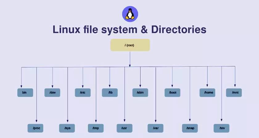 Folders and Functions in the Linux File System