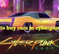 How to buy cars and motorbikes or steal vehicles