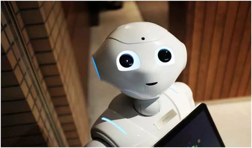 Robots in Everyday Human Life
