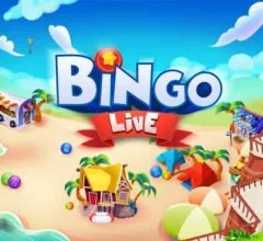 Differences Between Online and Live Bingo
