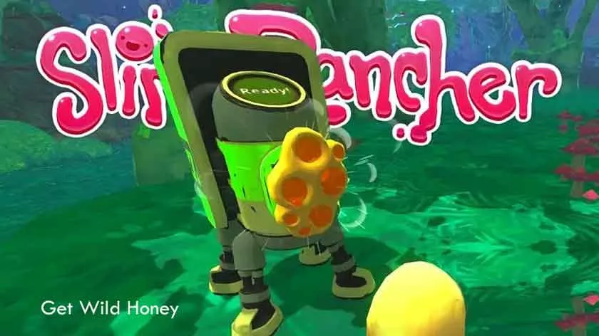 How to Get Wild Honey in Slime Rancher