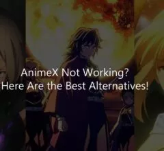 AnimeX Not Working? Here Are the Best Alternatives!
