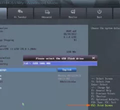 How To Screenshot UEFI BIOS