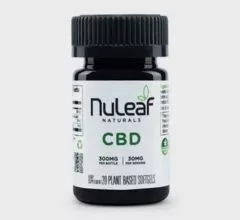 Can a Parkinson's Patient Use CBD for Results?