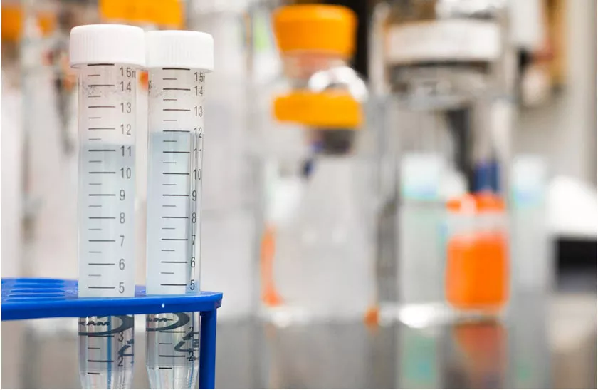 At-Home DNA Testing Kits: Just a Fancy Novelty?