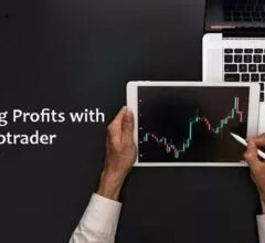 Maximising Profits with Webtrader