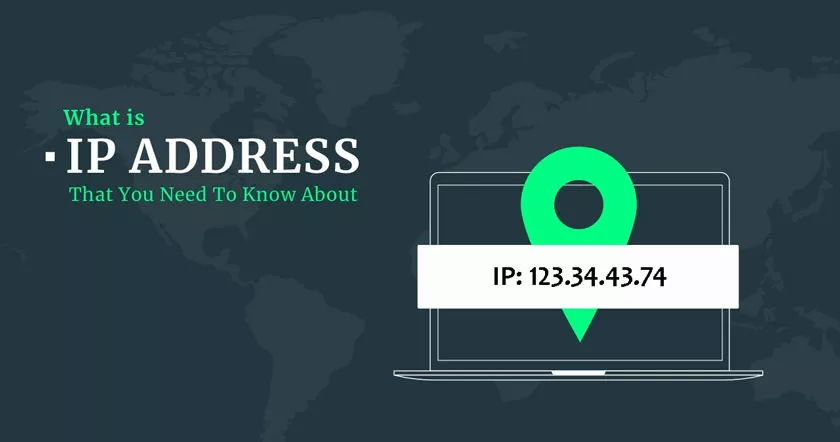 Everything You Need To Know About IP Address